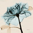 thumbnail image 2 of Koetsier, Albert 26x26 White Modern Wood Framed Museum Art Print Titled - Teal Rose 2, 2 of 4