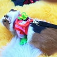 thumbnail image 3 of Hamster Harness and Leash Butterfly Small Animal Harness Small Pet Walking Leash, 3 of 6