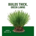 thumbnail image 6 of Scotts Turf Builder Liquid Lawn Food Refill, Fertilizer, For Any Grass Type, 32 fl. oz., 6 of 13