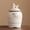 White, variant on Kitchen Storage Jars with Lids Vintage Style Tea Coffee Sugar Ceramic Food Storage Jar Coffee Tea Spices