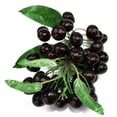 thumbnail image 1 of Artificial Fruit Lifelike Creative Decorative Fake Fruit Photography Prop, 1 of 7