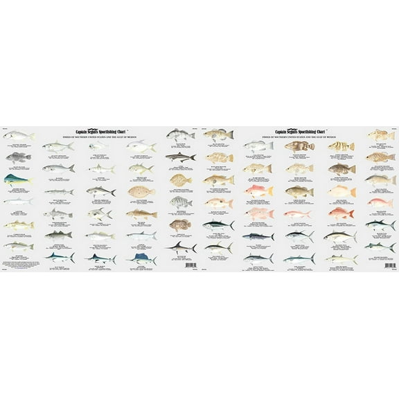 Captain Segull's Fish of Florida & Gulf of Mexico Identification Chart