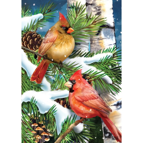 Briarwood Lane Winter Garden Flag 12x18 For Outdoor Snowy Cardinals For Winter Garden Flag Flags For Outside