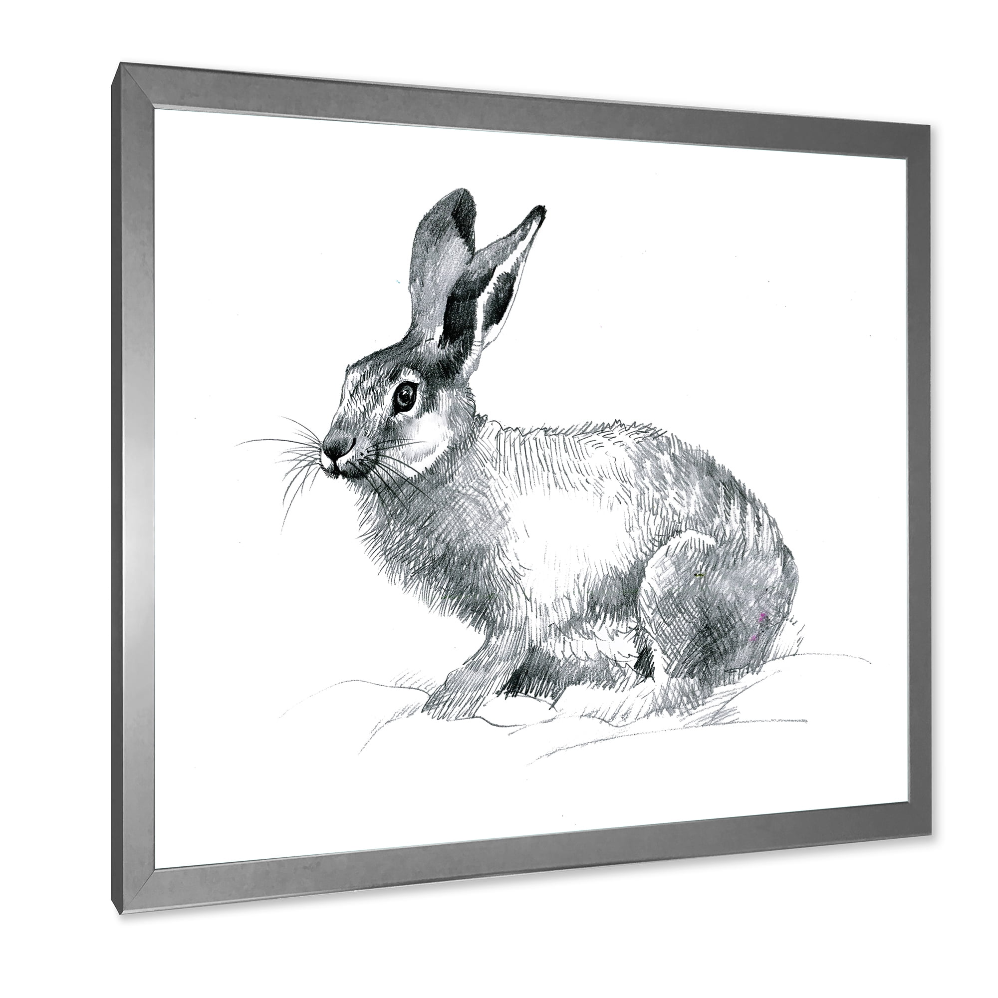 Designart 'Black and White Portrait Of Rabbit' Farmhouse Framed Art Print