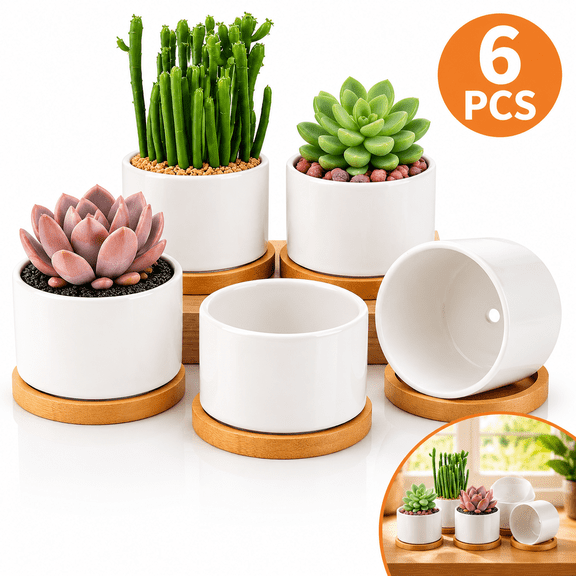 6 Pack 3.6-Inch Small Ceramic Succulent Planters, White, with Drainage Holes and Bamboo Trays
