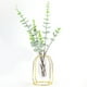 thumbnail image 4 of Jarrones de plantas hidropónicas, jarrones de plantas hidropónicas transparentes, maceta para plantas hidropónicas, decoración del hogar, ingeniería de precisión, 4 of 8