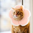 thumbnail image 2 of Weiweiguan Collier Anti-Lichage pour Chat, Collier de Récupération pour Chat, Fournitures pour Animaux, 2 of 7