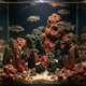 thumbnail image 4 of Nestingho 24Ud Rocas Diorama Falsas Para Acuario Con Natural Y Resina Duradera Para Jardín Zen, 4 of 6