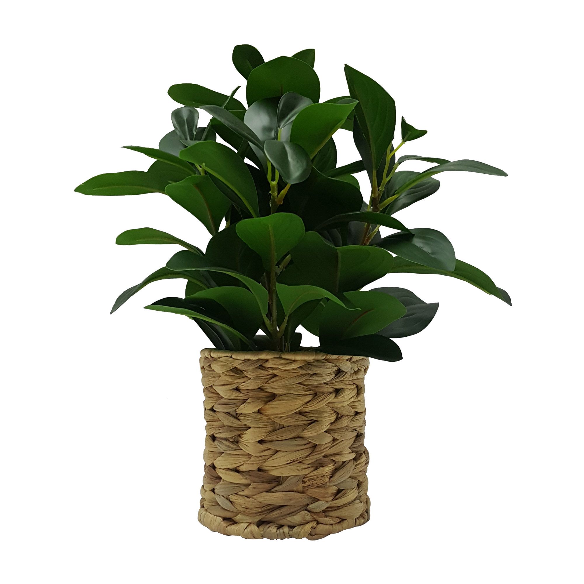 Better Homes & Gardens 13" Artificial Peperomia Plant in Natural Wicker Basket - image 5 of 5