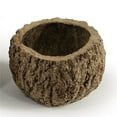thumbnail image 1 of Vickerman H2MAY000-1 3-4 Po. Mayan Coconut Naturel, 1 of 1