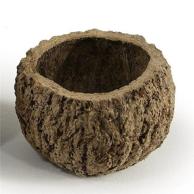Vickerman H2MAY000-1 3-4 Po. Mayan Coconut Naturel