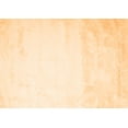 thumbnail image 1 of Ahgly Company Indoor Rectangle Solid Orange Modern Area Rugs, 3' x 5', 1 of 1