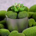 thumbnail image 5 of ZHAOCHENG Rocas decorativas de musgo artificial, 20 piezas de bolas de musgo verde de 2 tamaños para arreglos florales, jardines de hadas, terrarios y manualidades, 5 of 5