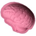 thumbnail image 1 of Molde De Silicona Para Halloween, Molde Para Hornear, Molde Para Pastel De Cerebro, Pudín, Gelatina, Postre, Molde Para Helado De Chocolate Para Cocina Cateissary HA038281-00, 1 of 6