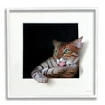 thumbnail image 2 of Stupell Industries Manx Cat Grooming Green Eyes Optical Illusion Painting White Framed Art Print Wall Art, Design by Alan Weston, 2 of 5