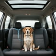 thumbnail image 5 of Hearth & Gear Pet Car Leash Purpose Leash For Dogs And Cars Dog Car Rear Seat Leash Pet Car Leash Nylon Leash for Dogs Trainer Training Dog Leashes for Medium Dogs Thin Leashes for Dogs Two Handle Dog, 5 of 5