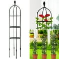 thumbnail image 1 of Poteau de Support pour Plante Rose d'Intérieur : Cadre Fixe pour Grimper, 1 of 18