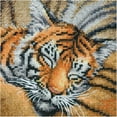 thumbnail image 2 of Dimensions Gold Petite Counted Cross Stitch Kit 5"X7"-Cozy Cub (18 Count), 2 of 5
