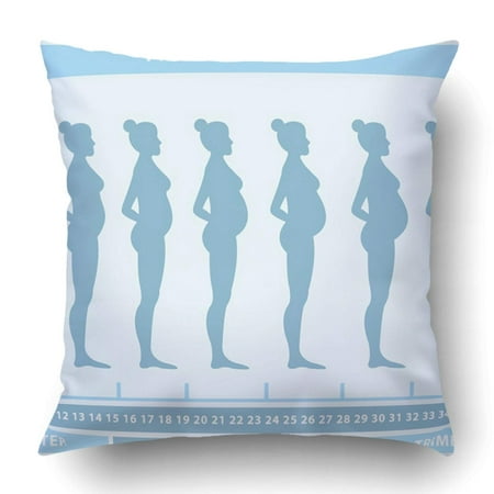 ARTJIA Pregnant Female Silhouettes Changes In Woman's Body Pregnancy Stages Pillowcase Cover Cushion 18x18 (Best Way To Change Body Shape)