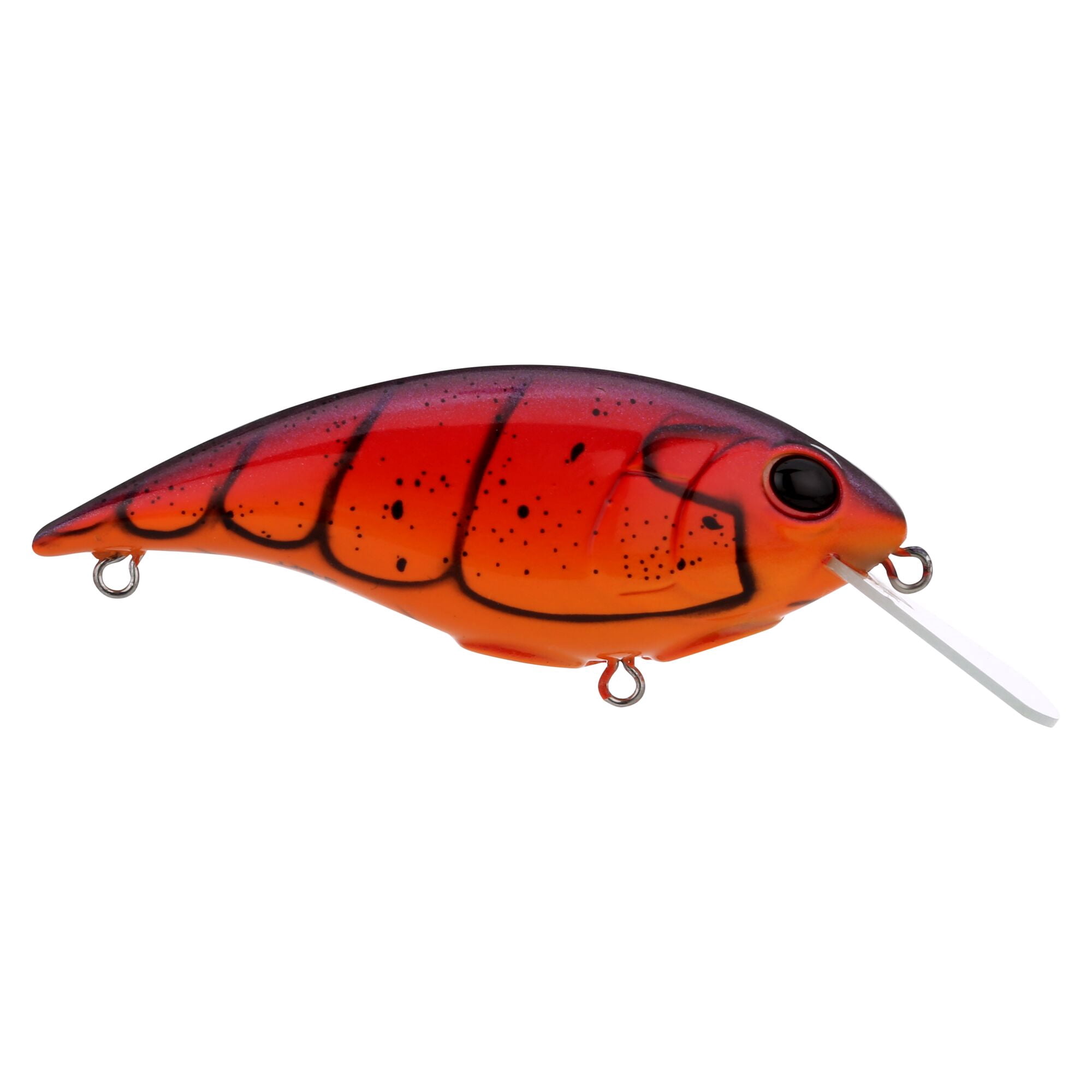 Berkley Shallow Money Badger, 2.5 in, Crankbaits, Special Red Craw (1 Count)