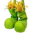 thumbnail image 6 of Northlight 47" Yellow and Green Spring Floral Standing Sunflower Girl Decorative Figure, 6 of 7