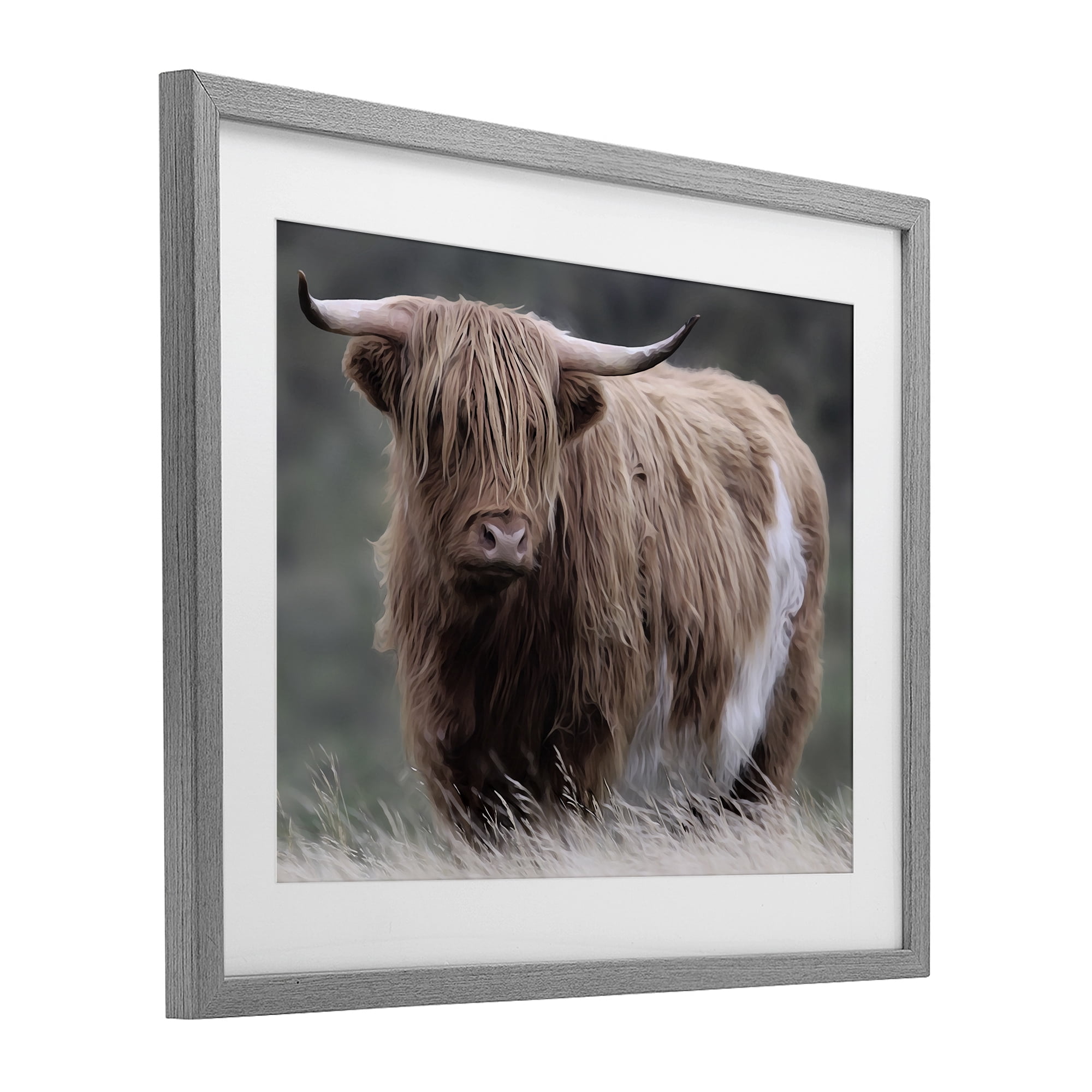 Stupell Industries Wandering Harry Highland Cattle Gray Framed Print Under Glass, design by Marcus Prime
