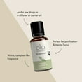 thumbnail image 4 of Ola Botanicals Organic Rosemary Essential Oil (1 Fl. Oz.), Purifying and Comforting, Certified USDA Organic, Dr. Mercola, 4 of 6