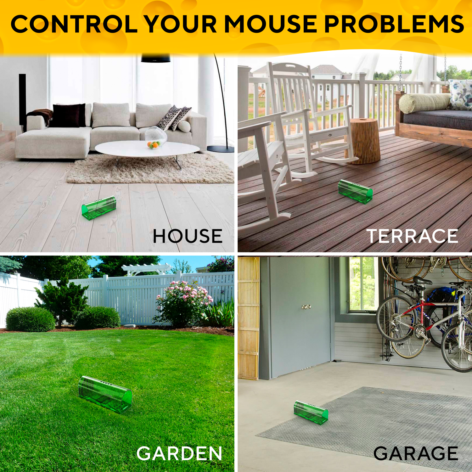 Problems with Using Mouse Traps in Your Home, Farm, or Business - Earthkind
