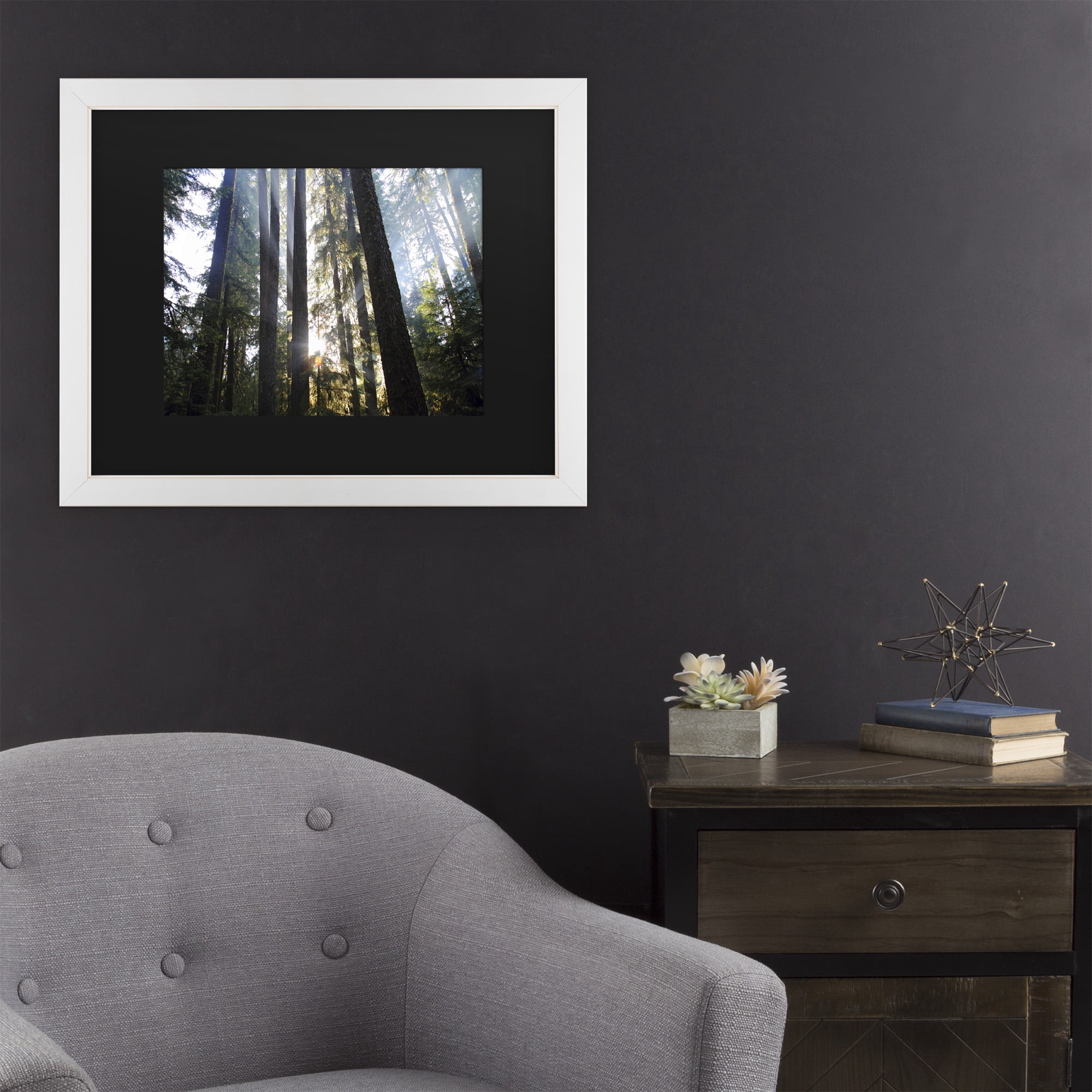 Trademark Fine Art 'Sunrays' Canvas Art by Pierre Leclerc