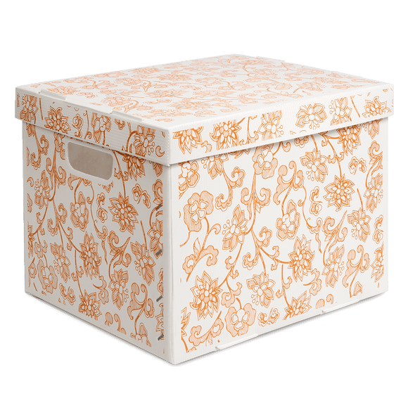 CAJAS PARA ARCHIVO MUERTO