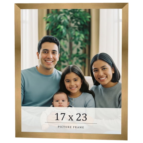 17x23 Frame Gold Bronze Solid Wood Picture Frame Width 0.75 Inches | Interior Frame Depth 0.5
