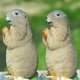 thumbnail image 2 of Estatua de jardín de marmota, escultura de marmota de resina, estatuas de animales de jardín, bonito adorno para exteriores TUNC Sencillez, 2 of 5