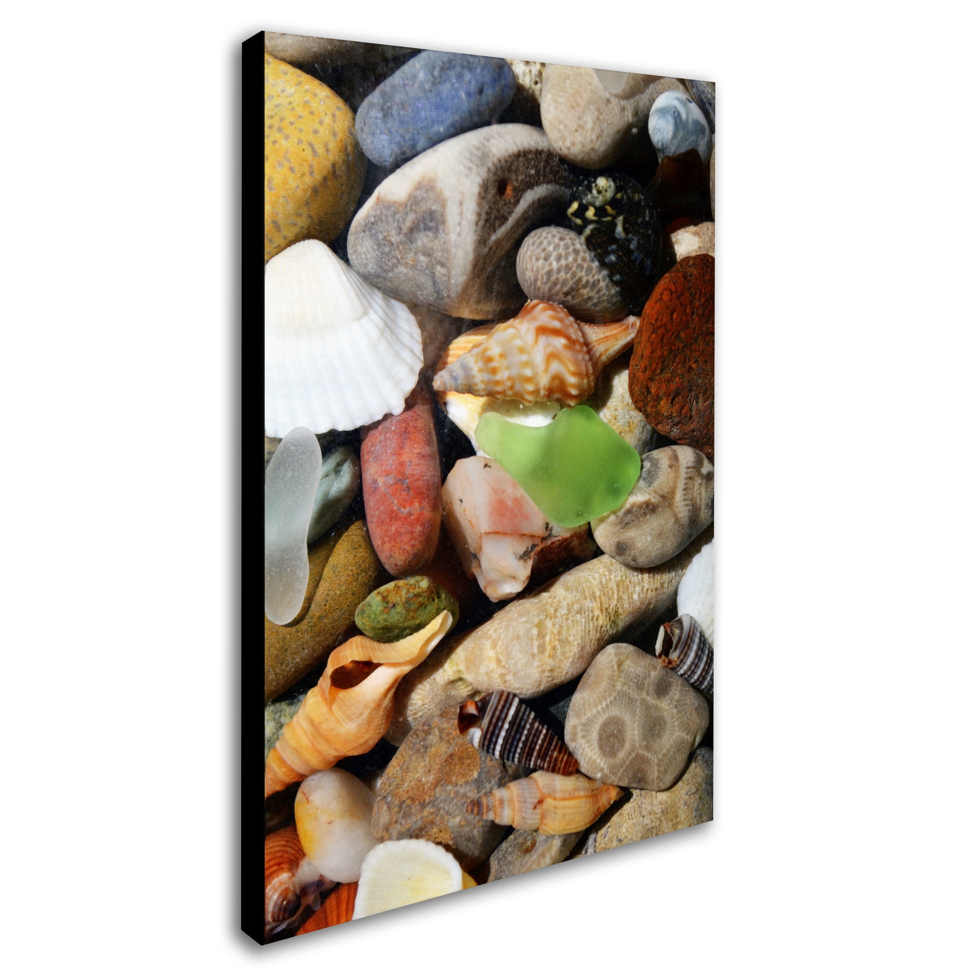 Trademark Fine Art "PetoskeyStones l" Canvas Art by Michelle Calkins