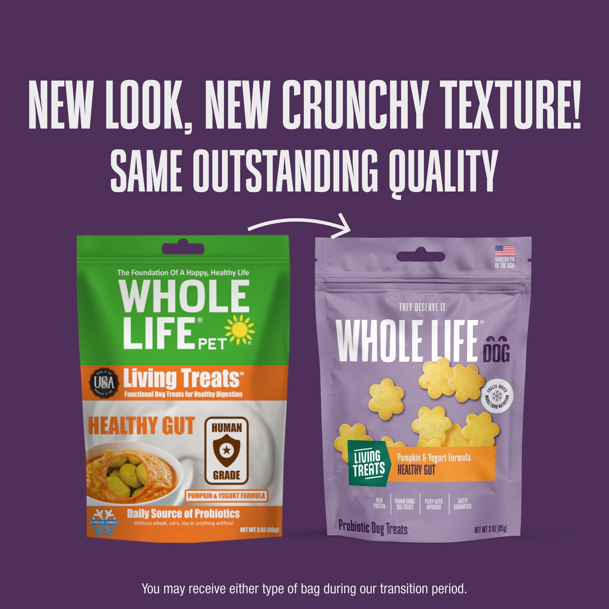 Whole Life Pet Living Treats – Pumpkin and Yogurt Recipe Probiotic Treats For Dogs, 12oz