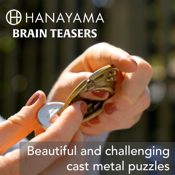 Hanayama, Coin Hanayama Puzzle Level 4, Challenging Metal