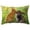 D, variant on TIELUTT Easter Rectangle Pillow Bedroom Sofa Pillow Home Decoration Pillow Aging Silk Pillowcase Standard Size Silk Pillowcase Cloth Pillowcase Silk Pillowcase Cover Body Pillowcase Anime