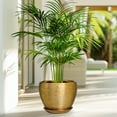 thumbnail image 2 of Stillaflora 8 inch Gold Round Ceramic Flower Planter with Saucer, Modern Indoor Pot for Plants,Small Trees & Herbs, Ideal for Home & Office Decor, 2 of 7