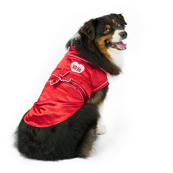 Vibrant Life Valentine's Day Pet Robe for Dogs, Red, Large