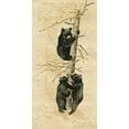 thumbnail image 3 of Phillips, Anita 9x14 Black Modern Framed Museum Art Print Titled - Black Bears, 3 of 5