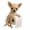 Style-A, variant on Toilet Paper Holder, French Bulldog Sculpture Decorative Wall Mounted, 1 Pack Resin Animal Toilet Tissue Holder, Cute Home Decor for Bathroom Toilet Washroom RV Hotel