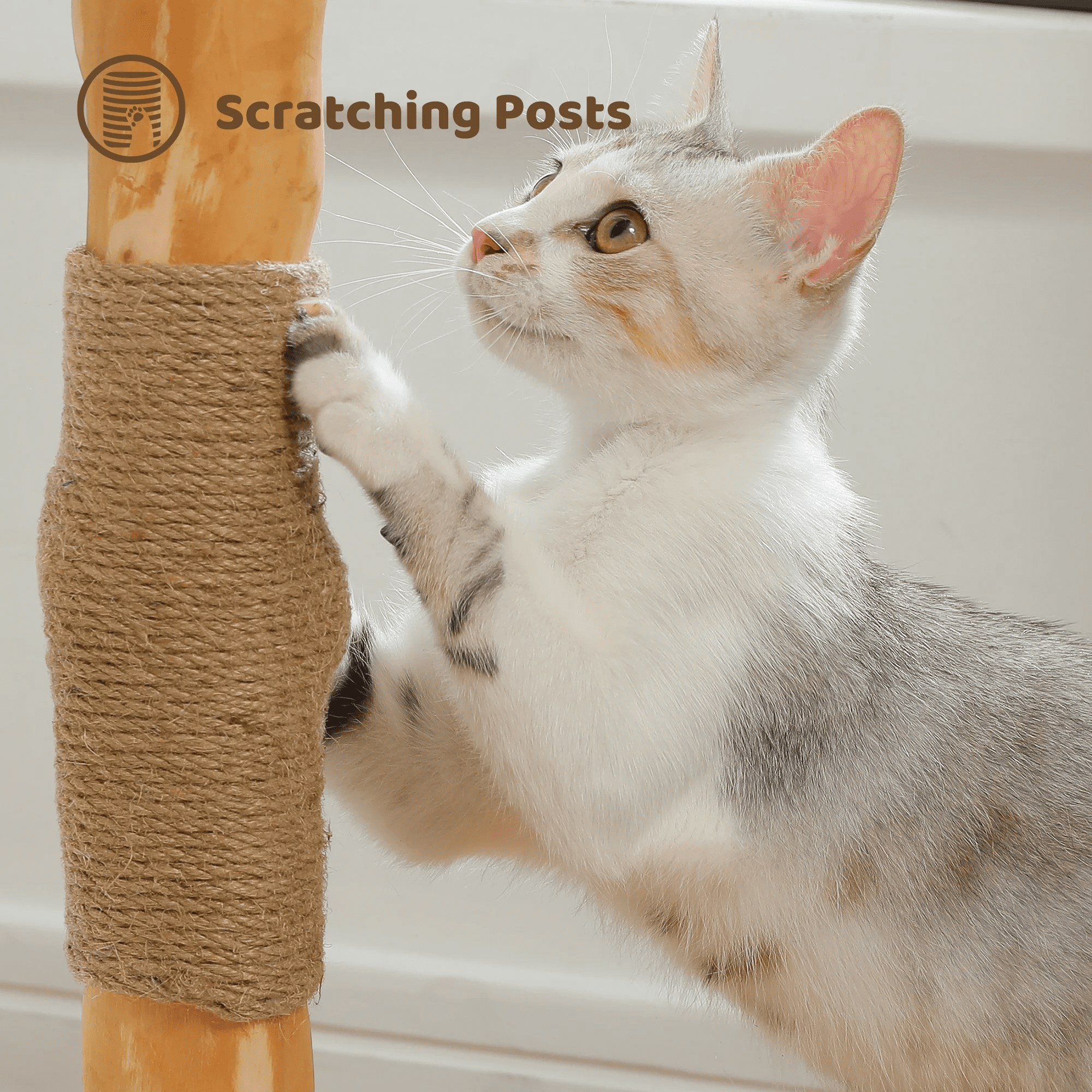 PEQULTI 38''Modern Cat Tree with Large Condo and Wood Sisal Scratching Post for Indoor Cat White
