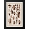 thumbnail image 2 of Sowerby, G.B. 11x14 Black Modern Framed Museum Art Print Titled - Shells: Trachelipoda #6 (Sepia), 2 of 5