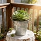 thumbnail image 5 of Jarrón vintage de cubo floral de hojalata plateado 4,7 pulgadas • Estilo regadera de hierro doble oído • Maceta mini jardín de escritorio de Pascua • Maceta de arreglos florales frescos, 5 of 6