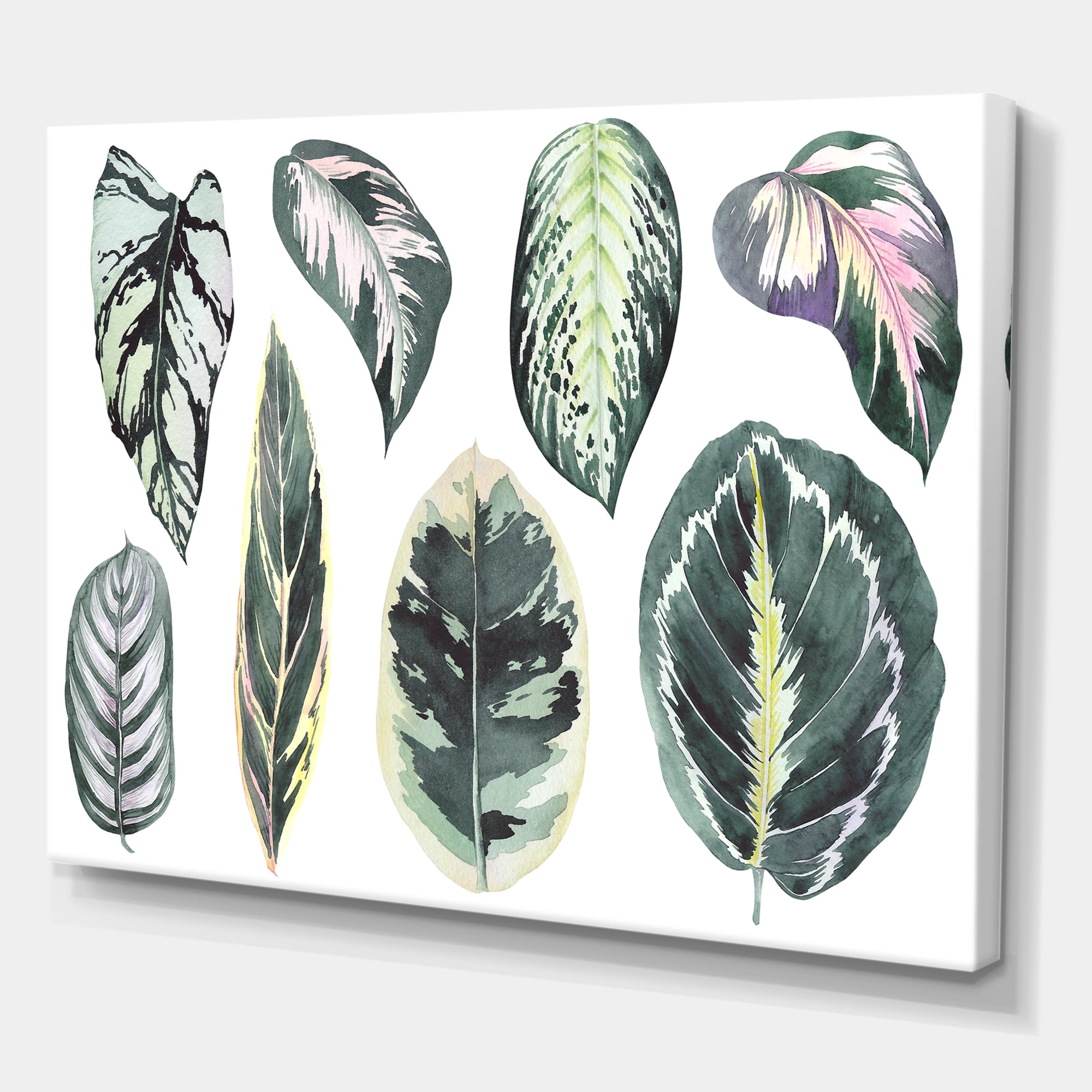 Designart ' Tropical Calathea Leaves On White ' Bohemian & Eclectic Canvas Wall Art Print