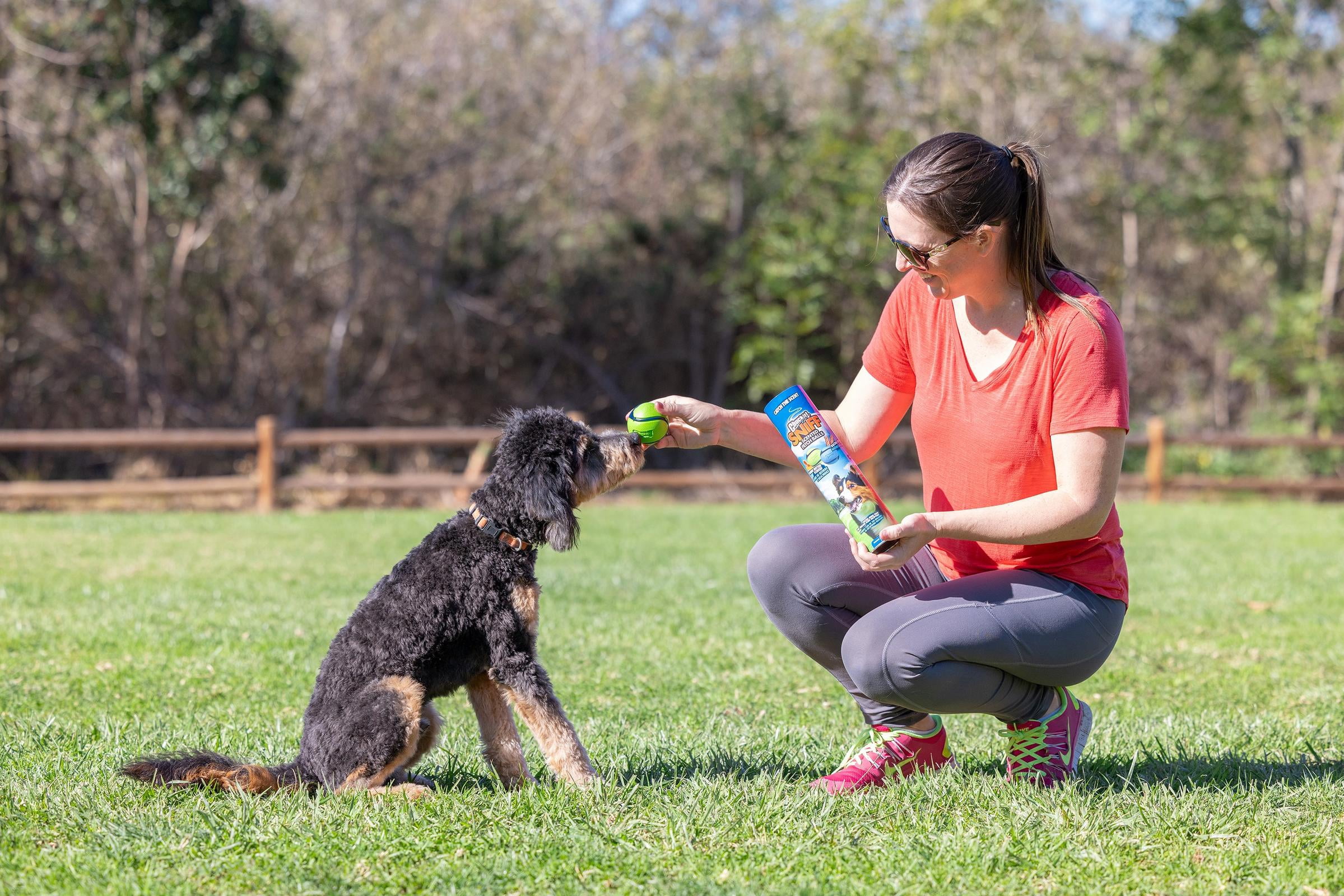 Chuckit! Sniff Scented Fetch Dog Balls Canister, Peanut Butter and Bacon Scented Rubber Toy for Dogs, Medium 2.5" for Pets 20 to 60 lbs, Pack of 4