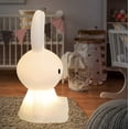 thumbnail image 4 of Encantadora luz de noche de silicona, luz de noche portátil con colores suaves, luz de noche de conejito multifuncional, control táctil y control remoto, regalo de Pascua para niños, 4 of 5