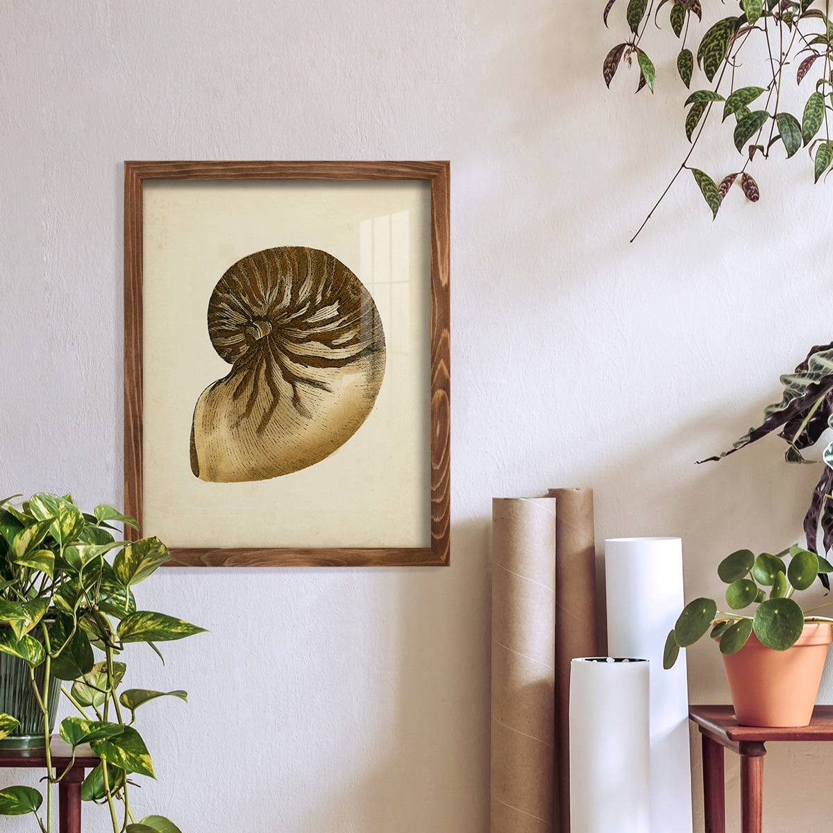 Sealife Collection V - Framed Print w/glass - Walnut