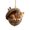 D, variant on Cute 2D Acrylic Animal Christmas Tree Hanging Ornament with Golden String for Holiday Home Decor and Party Celebration