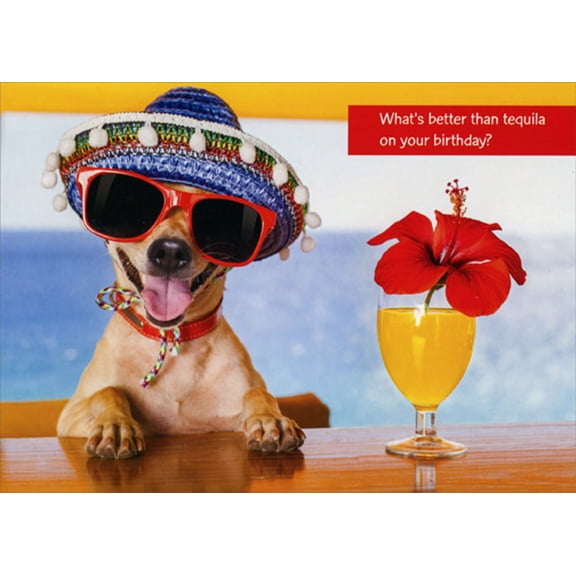 Designer Greetings Dog Wearing Sombrero and Red Sunglasses with Tequila Funny / Humorous Birthday Card