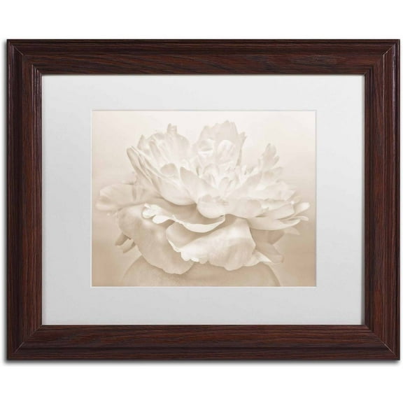 White Peony' Canvas Art by Cora Niele, White Matte, Wood Frame